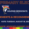 2026 Primary Election Endorsements & Recommendations